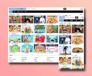 苹果cms简约自适应X站模板