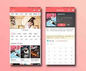 苹果cms8JOELEO MT手机模板破解版