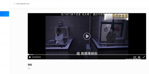 BGS本地局域网视频系统源码